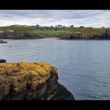 Sandy Cove Dunmore East Exterior photo