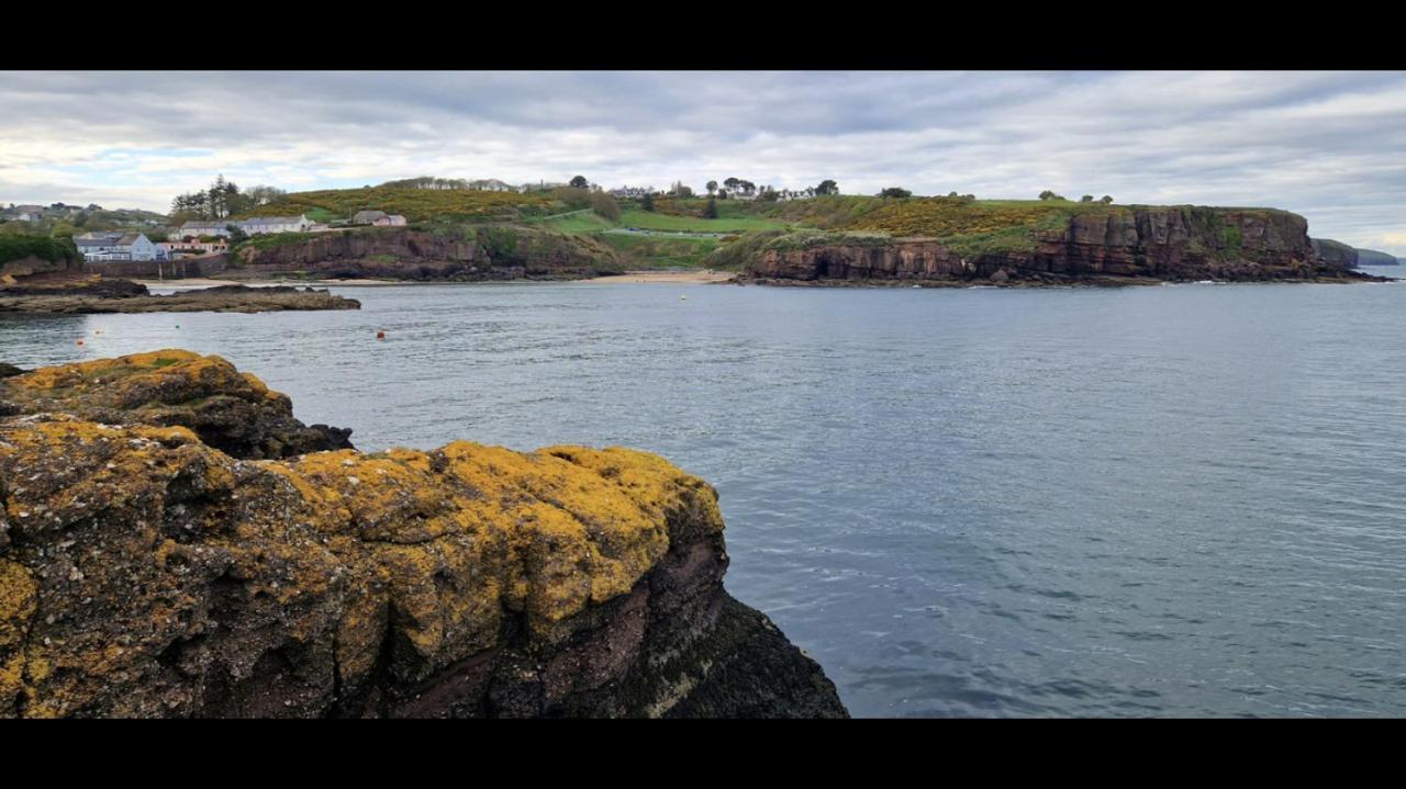 Sandy Cove Dunmore East Exterior photo