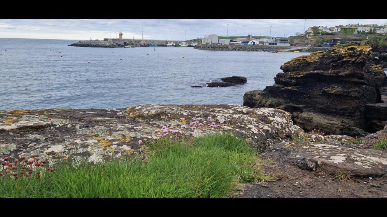 Sandy Cove Dunmore East Exterior photo